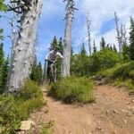 Vététiste descendant un sentier étroit entre des arbres en montagne