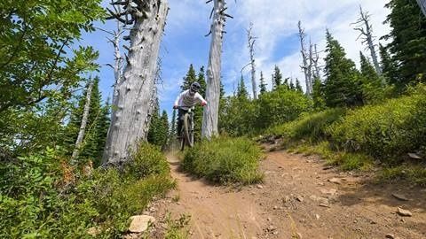 Vététiste descendant un sentier étroit entre des arbres en montagne