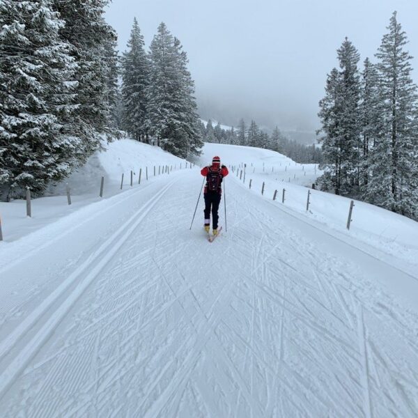 Skieur de fond avançant sur une piste enneigée bordée de sapins